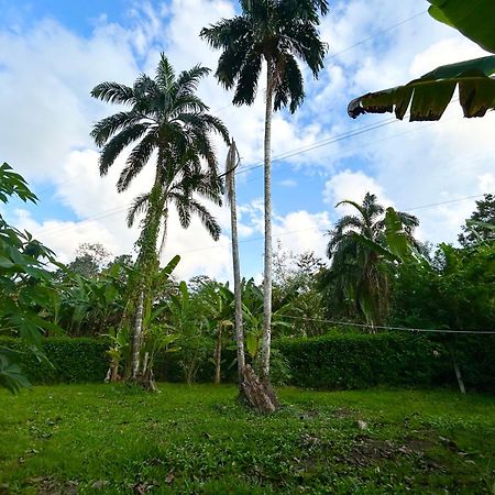 Casa Martin Cahuita Charming Spanish Home Kültér fotó