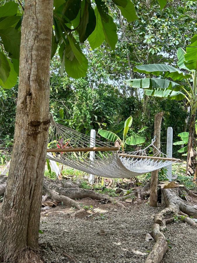 Casa Martin Cahuita Charming Spanish Home Kültér fotó