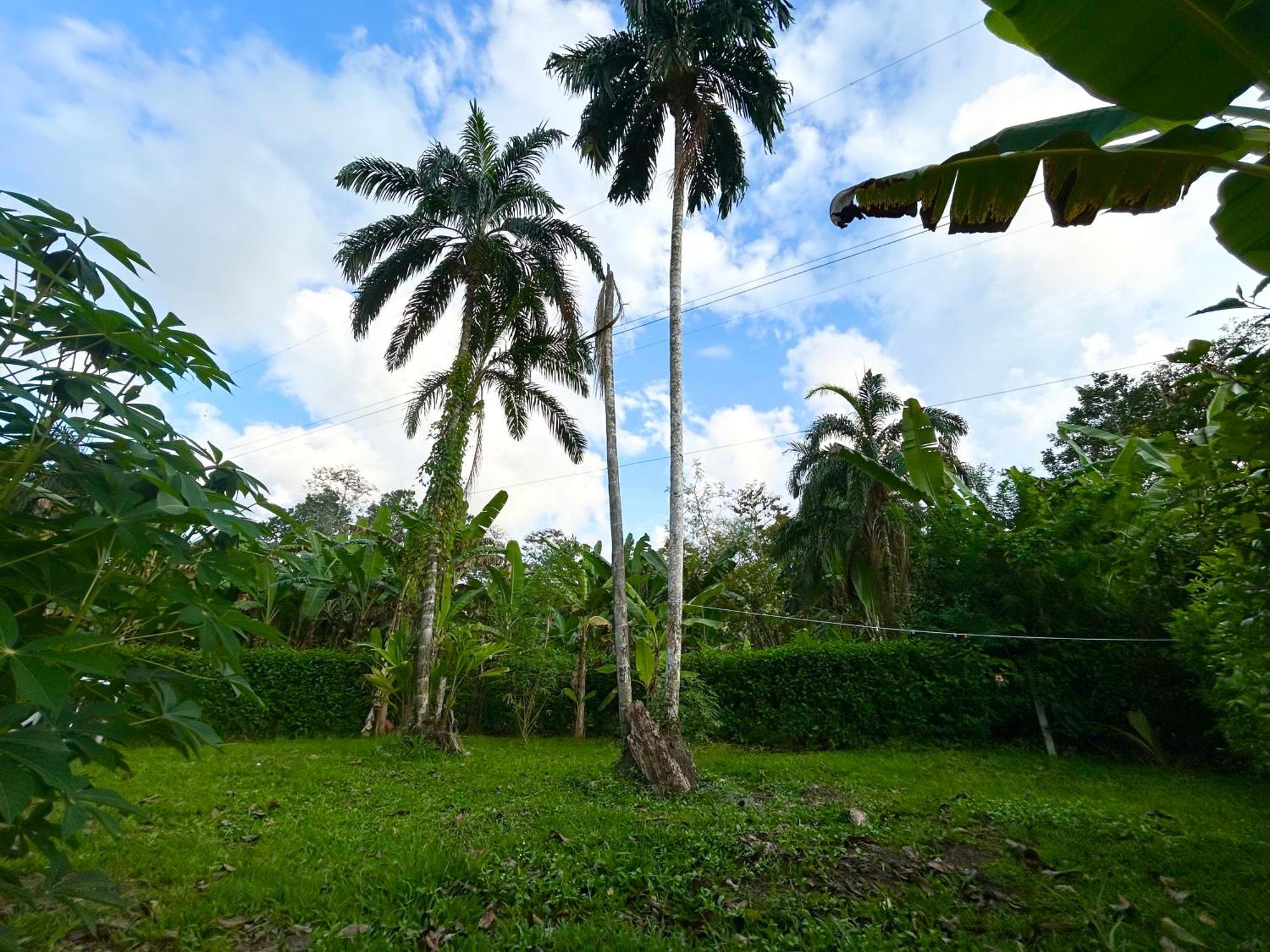 Casa Martin Cahuita Charming Spanish Home Kültér fotó